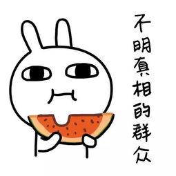 娱乐718吃瓜链接